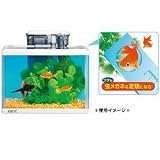 GEX（ジェックス） ガラス水槽セット 金魚元気はじめて飼育セット