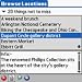 Rough Guides Map Washington DC (Pal downloadable Software