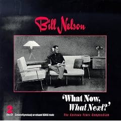 What Now, What Next?
