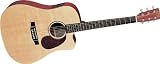 Martin DCX1E Acoustic-Electric Guitar