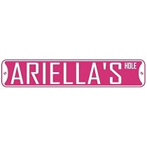 " ARIELLA HOLE " STREET SIGN