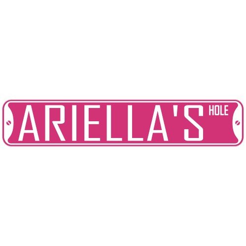 " ARIELLA HOLE " STREET SIGN