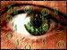 Binary Eye, Photography by Russell Denny, Digital File
