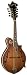 Washburn Vintage Series M118SWK Mandolin