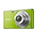 Sony Cyber-Shot DSC-W530 14.1 MP Digital Still Camera with Carl Zeiss Vario-Tessar 4x Wide-Angle Optical Zoom Lens and 2.7-inch LCD (Green)