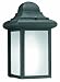 Thomas Lighting Pl9480-7 One-Light Energy Star Certified Outdoor Wall Lantern, Matte Black