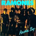 Animal Boy
