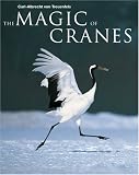 The Magic of Cranes