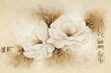 Modest beauty II - Betty Jansma Art Print Poster - 19.75 x 15.75