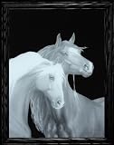SWEET HEART HORSES ~ High-Definition Acid Etched Glass Decor Frame ~