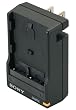 Sony BCT-RM InfoLithium M Series Portable Charger