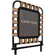 Stott Pilates Cardio Tramp