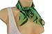 TFJ Women Fashion Small Neck Scarf Sheer Fabric Black Zebra Print Pocket Square Green