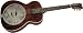 Rogue Triolian Biscuit Cone Resonator Guitar, Natural