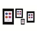 The Photo Album Company CF2130-NG A4 Clip Frame Non-Glass