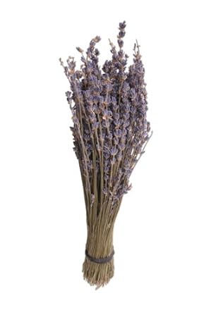 Royal Velvet Bundle Lavender