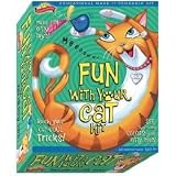Fun with Your Cat