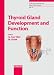 Thyroid Gland Development and Function (Endocrine Development)