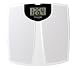 TAYLOR 73314012 SCALE DIGITAL LITHIUM