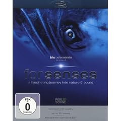 forsenses (Premium-Sonderedition incl. iphone 3G- und iPod Touch-3D-Folie) [Blu-ray]