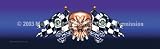 Window Graphic - 16x54 Racing Skull