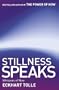Stillness Speaks: Whispers of Now