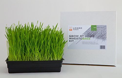 Logro Farms Hydroponic Wheatgrass Growing Kit