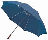 Regenschirm
