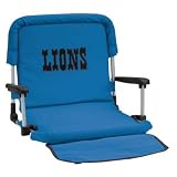 Detroit Lions NFL Deluxe Stadium Bleacher Seat