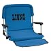 Detroit Lions NFL Deluxe Stadium Bleacher Seat