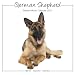 German Shepherd 2011 Wall Calendar #30463-11