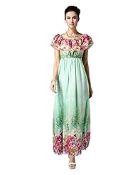 Floral Print Summer Chiffon Evening Dress/Party Dress/Maxi Dress 