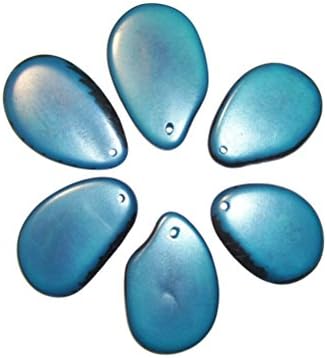 Tagua Nut Thin Slices Blue Large Size Package of 6