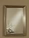 Mirror with Silver Frame - coaster 901701