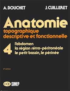 Anatomie topographique du bassin
