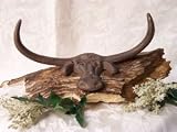 Cast Iron Longhorn Steer Wall Hook
