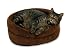 Petmate 16-Inch Oval Terry Bed, Colors May Vary