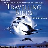 Travelling Birds