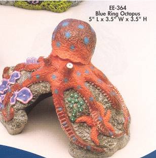 Blue Ring Octopus, 5'' x 3.5'' x 3.5'' - Buy Blue Ring Octopus, 5'' x 3.5'' x 3.5'' - Purchase Blue Ring Octopus, 5'' x 3.5'' x 3.5'' (Penn Plax, Home & Garden, Categories, Pet Supplies, Fish & Aquatic Pets, Aquarium Accessories, Decor, Ornaments)