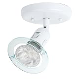 Globe Contempra One-Light Flush Mount Ceiling Fixture, White with Clear Acrylic Globe #5753101