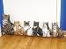 Cat Draft Stopper