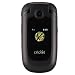 Cricket Pay-As-You-Go Cell Phone - CAPTR
