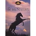 The Black Stallion (Widescreen, Fullscreen)
