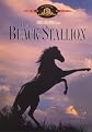 The Black Stallion (Widescreen, Fullscreen)