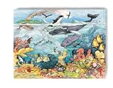 Coral Reef