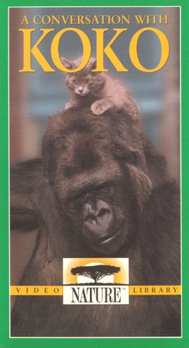 A Conversation With Koko