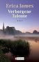 Verborgene Talente: Roman