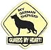 My German Shepherd Guards My Heart Magnet