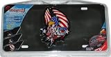 QUEST 2475 ELECTRO GRAPHIX LICENSE PLATE WITH LIGHT UNITED WE STAND EAGLE US FLAG