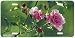 Shades of Summer - Hummingbirds - Wildlife Decor Art Print - License Plate Tag By Ter...